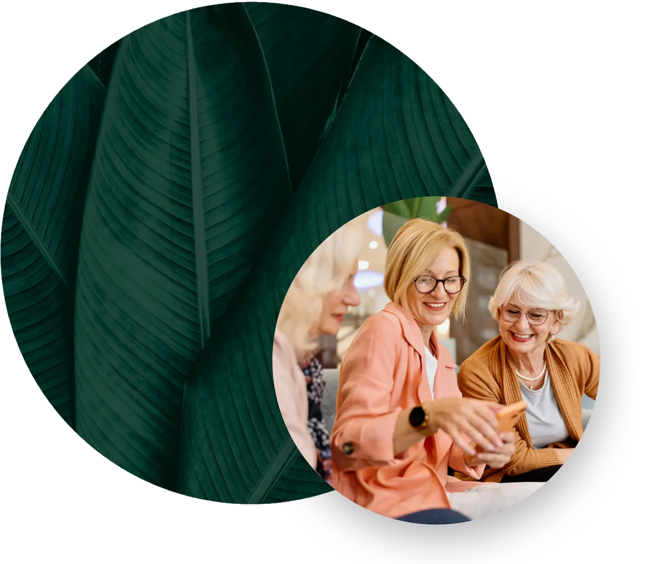 Life Plan Continuing Care in Boynton Beach, FL | The Winsberg