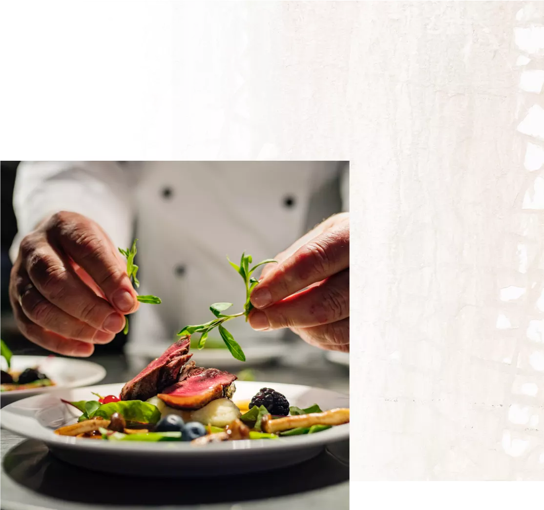 Satisfy-Your-Culinary-Curiosity