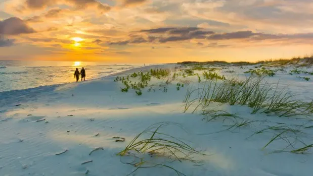 Retiring in Florida: Pros and Cons You Should Consider
